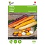 Buzzy Summer carrot - Rainbow Mix F1 - Coloured Tasty Carrots - Hybrid Variety