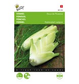 Buzzy Fennel - Doux De Florence - Globe - Aniseed Flavour - Can be eaten raw or cooked