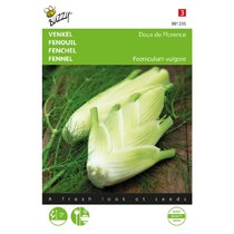 Fennel - Doux De Florence