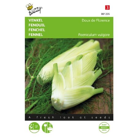 Buzzy Fennel - Doux De Florence - Globe - Aniseed Flavour - Can be eaten raw or cooked