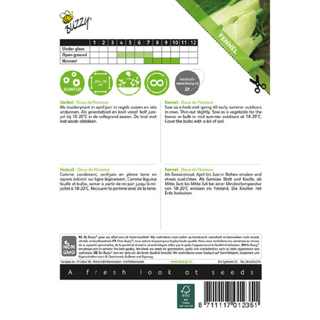 Buzzy Fennel - Doux De Florence - Globe - Aniseed Flavour - Can be eaten raw or cooked