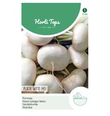 Tuinraap - Platte Witte Mei - Snel Groeiend Knolgewas - Kan Rauw gegeten Worden