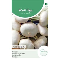 Garden turnip - Flat White May