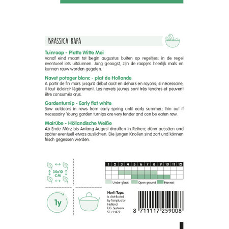 Tuinraap - Platte Witte Mei - Snel Groeiend Knolgewas - Kan Rauw gegeten Worden