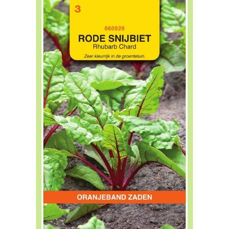 Red chard - Stew Vegetable - Sow outdoors mid March to late July