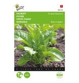 Buzzy Chard - Green Common - Seeds - This Leafy Vegetable Is Eaten Like Spinach