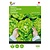 Buzzy Head lettuce - Appia
