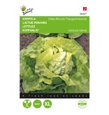 Buzzy Kropsla - Dikke Blonde Traagschietende - Zomer - Herfstteelt - Fris Groene Botersla