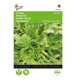 Buzzy Arugula - Wasabi Seeds - Is a Spicy Rocket With a Sharp Flavour - Carpaccio - Salads