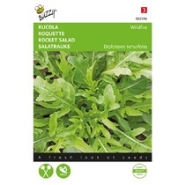 Arugula - Wasabi