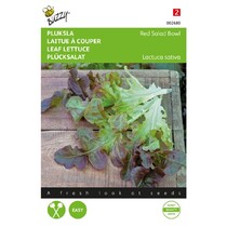 Pickled lettuce - Red Salad Bowl