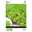 Buzzy Picking lettuce - Australian Yellow - Leaf lettuce - Vegetable seeds - Can be harvested several times