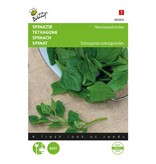 Buzzy Spinach - New Zealand - Can be prepared and eaten as Spinach - Stir-fry