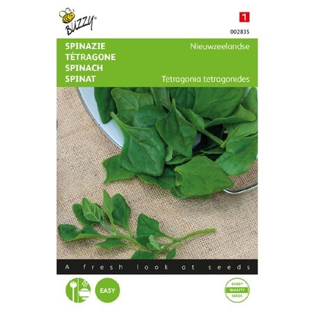 Buzzy Spinach - New Zealand - Can be prepared and eaten as Spinach - Stir-fry