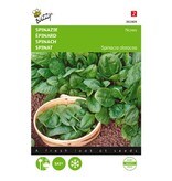 Buzzy Spinach - Nores - Slow Grower - Ideal for summer growing - Resistant to diseases