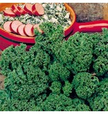 Buzzy Kale - Western Autumn - Vegetable seeds - Cabbage varieties - Kitchen Garden Seeds