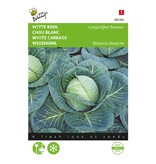 Buzzy White cabbage - Longer-lasting vegetables
