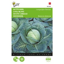 White Cabbage - Langedijker Preserve