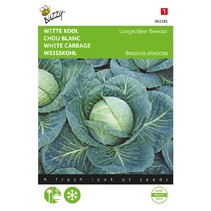 Witte Kool - Langedijker Bewaar