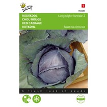 Rotkohl - Langedijker Bewar 2