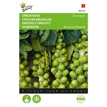 Brussels Sprouts - Groninger