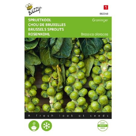Buzzy Brussels sprouts - Groningen - Vegetable Seeds For The Kitchen Garden - Brassicas - Early Harvest