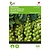 Buzzy Brussels Sprouts - Groninger
