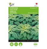 Buzzy Kale - Reflex F1 - Hybrid Variety - Buy Vegetable Seeds?