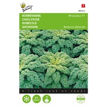 Kale - Reflex F1