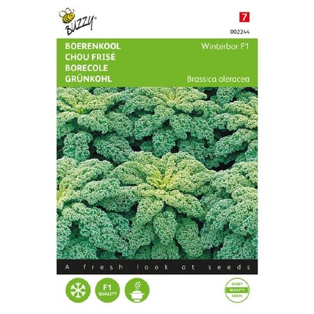 Buzzy Kale - Reflex F1 - Hybrid Variety - Buy Vegetable Seeds?
