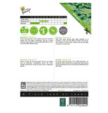 Buzzy Kale - Reflex F1 - Hybrid Variety - Buy Vegetable Seeds?