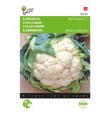 Buzzy Cauliflower - Autumn Giant 2 - Cabbages - Buy Vegetable Seeds?