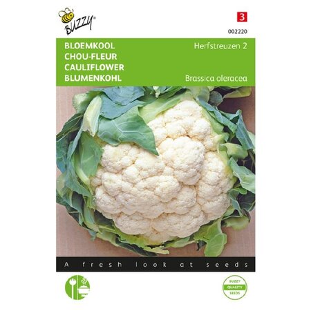 Buzzy Cauliflower - Autumn Giant 2 - Cabbages - Buy Vegetable Seeds?