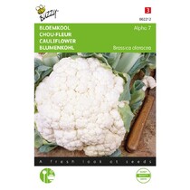 Cauliflower - Alpha 7