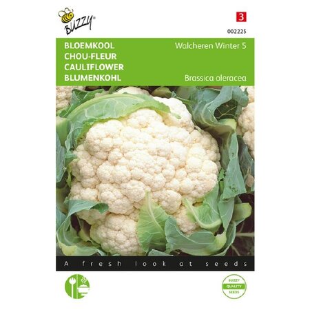 Buzzy Cauliflower - Walcheren Winter 5 - Cabbages - Buy Vegetable Seeds?