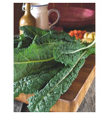 Buzzy Palm kale - Nero di Toscana seeds - Tuscan Cabbage - Vegetable Seeds Buy?