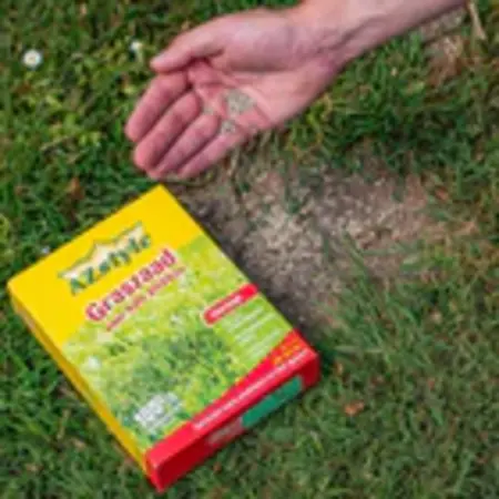 Grass Seed Recovery 1 Kg. For 40 - 60 M2 - Restores any lawn - Garden Select