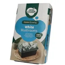 Mushroom Grow Kit (White Mushrooms)