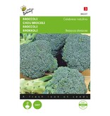 Buzzy Broccoli - Calabrese Natalino - Buy vegetable seeds for the vegetable garden - Brassicas
