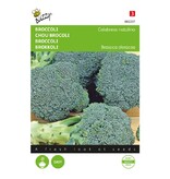 Buzzy Broccoli - Calabrese Natalino - Groentezaden Kopen Voor De Moestuin - Koolsoorten