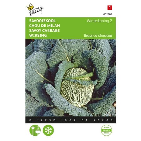 Buzzy Savoy cabbage - Winter King 2 - Hardy Cabbage - Buy Vegetable Seeds?