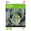 Buzzy Savoy cabbage - Winter King 2 - Hardy Cabbage - Buy Vegetable Seeds?