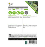 Buzzy Savoy cabbage - Winter King 2 - Hardy Cabbage - Buy Vegetable Seeds?