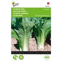 Chinese Cabbage - Garnet