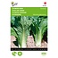 Buzzy Chinese Cabbage - Pomegranate - Vegetable Seeds Buy?