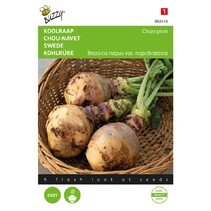 Koolraap - Champion