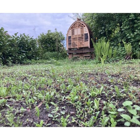 Buzzy Bird Home Insect Hotel Giant 103x22.5x110 left+right - Garden-Select.com