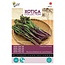 Buzzy Choy Sum Hon Tsai Tai - Asian Vegetables - Buy Exotic Vegetable Seeds?
