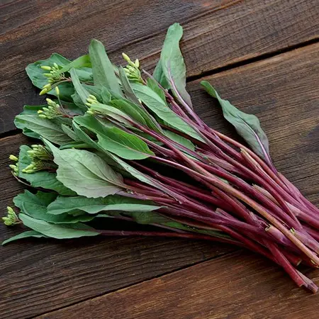 Buzzy Choy Sum Hon Tsai Tai - Asian Vegetables - Buy Exotic Vegetable Seeds?