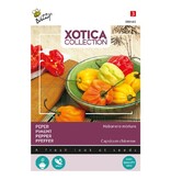 Buzzy Paprika - Habanero Mix - Scharfer Pfeffer - Exotische Gemüsesamen kaufen?